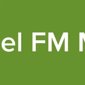 Sweet Gospel FM Master Input