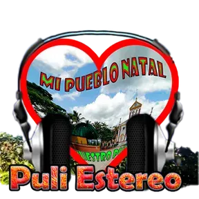 Puli Estereo