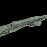 "Ekstremt spændende": Luksusbåd fra oldegypten imponerer forskere