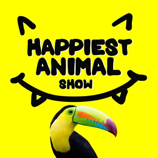 Animal Sidekicks (with special guest Mike Wilson)