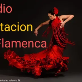 RADIO ESTACION FLAMENCA