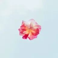 Setting up Product Teams for Success