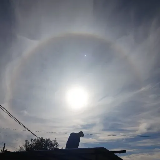 Terapias gratuitas🦋