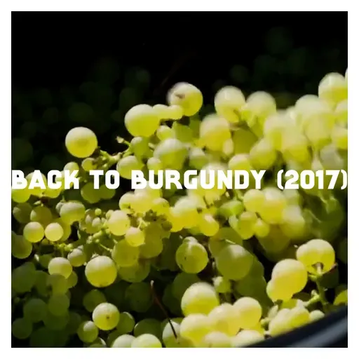 Indie Film Highlight: BACK TO BURGUNDY (2017)