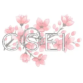 GSEI RADIO