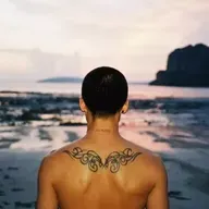 编号223来了！我无处安放的压抑终于有救了