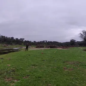 Caótica Belleza