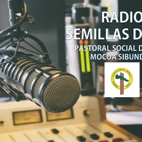 radio semillas de paz