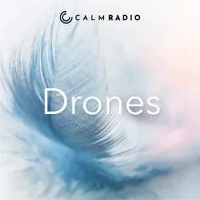 DRONES