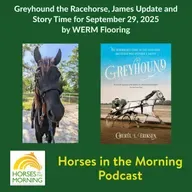 Greyhound the Racehorse, James Update and Story Time for September 29, 2025 by WERM Flooring