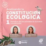 Derechos de los animales en la nueva Constitución