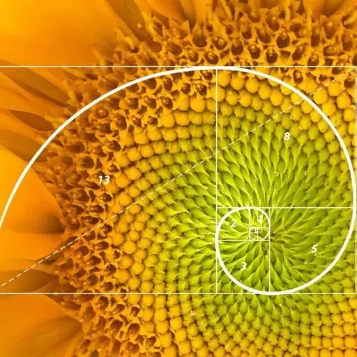 Audioblog. La secuencia de Fibonacci, la fórmula de la naturaleza