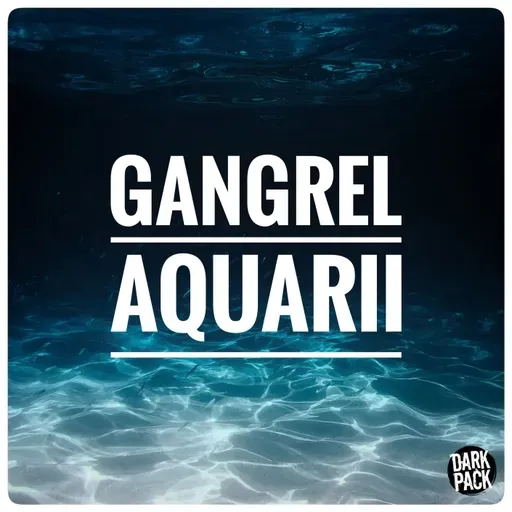 Minitrama #35 - Gangrel Aquarii