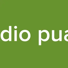 radio puan