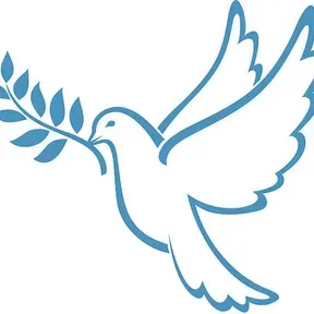 Victory Warfare Radio