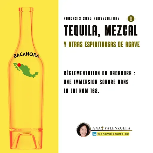 Réglementation du Bacanora : Une immersion sonore dans la loi NOM 168.