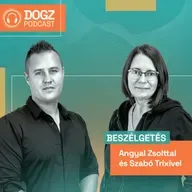 Ez a teendőd, ha megszökött a kutyád