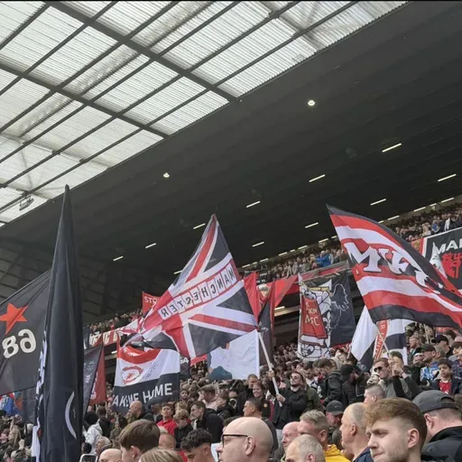 United We stand podcast 729. Forest at home