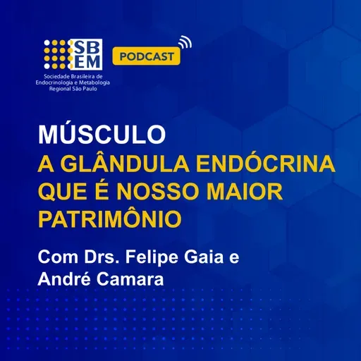 Músculo: a glândula endócrina que é nosso maior patrimônio