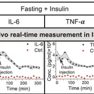Shana Kelley: Biosensors to Track Proteins and Inflammation in Our Blood in Real Time