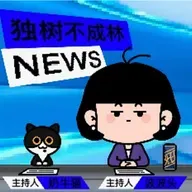 304-沙特阿拉伯过去十年在进行一场怎样的政治改革？