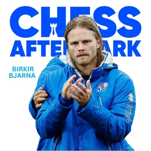 #291 Birkir Bjarnason