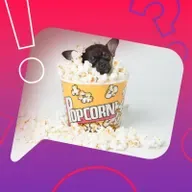 Riechen Hundepfoten nach Popcorn?