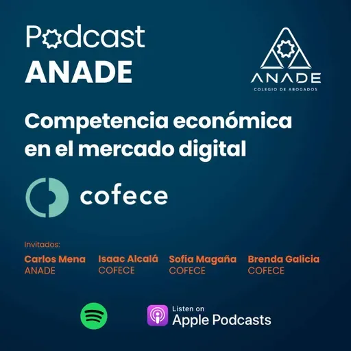 Competencia económica en el mercado digital