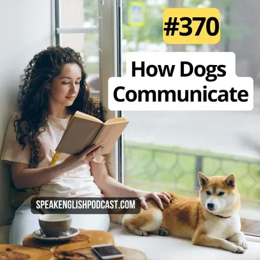 #370 How Dogs Communicate Emotions Without Words