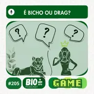 205 - É bicho ou drag?