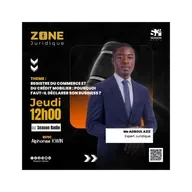 REGISTRE DU COMMERCE ET DU CREDIT MOBILIER : POURQUOI FAUT-IL DECLARER SON BUSINESS ?