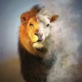 A voz do que clama no deserto