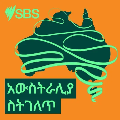 #107 Protecting Wildlife | Talking About Animals and Nature (Med) - #107 የዱር እንሰሳትን መጠበቅ | ስለ እንሰሳትና ተፈጥሮ መናገር