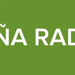 LEÑA RADIO