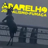 Aparelho: A criação de um Brasil jovem