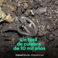 Desde el Conocimiento | Un fósil de culebra de 10 mil años