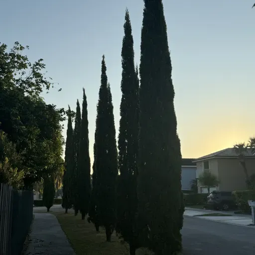 REPARANDO AGUJEROS (E1982).