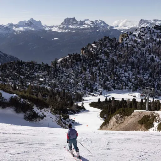 What is the environmental impact of the Winter Olympics?