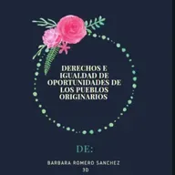 "derechos e igualdad de oportunidades de los pueblos originarios"