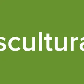 Transcultural FM