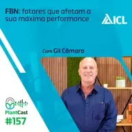 Plantcast #157 FBN: fatores que afetam a sua máxima performance