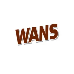 WANS Anderson`s Music Leader 1280 AM