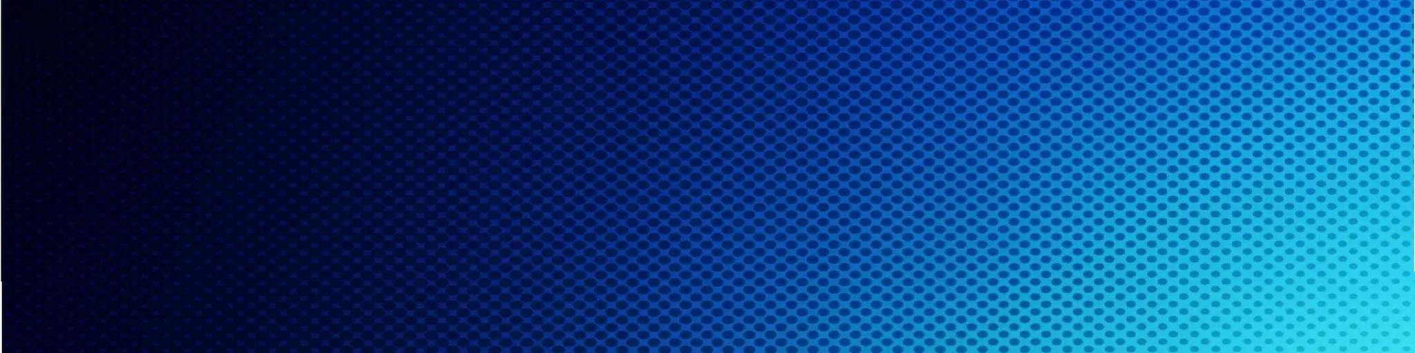 RADIO ONLINE LDV
