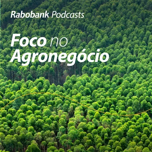 Perspectivas 2026 | Papel e Celulose