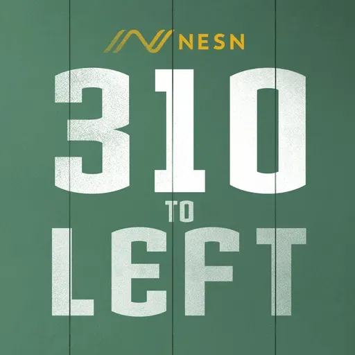 310 To Left Special From The Green Monster