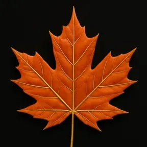 Canadian Orange Podcast