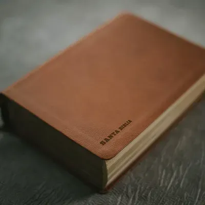 Identificando Practicas Organizacionales, en el ámbito educativo (Colegio)