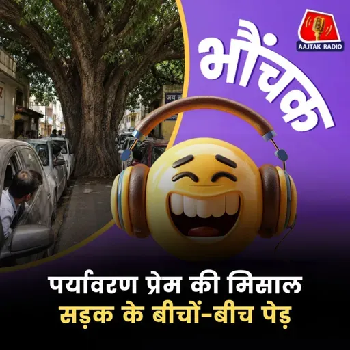 MP: बिना पेड़ हटाए बना दी सड़क, इंजीनियर को ढूंढ रहे लोग | भौंचक