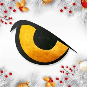 Box Security Navidad