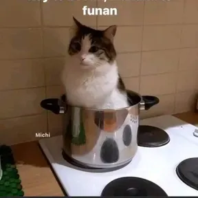 TakSsj